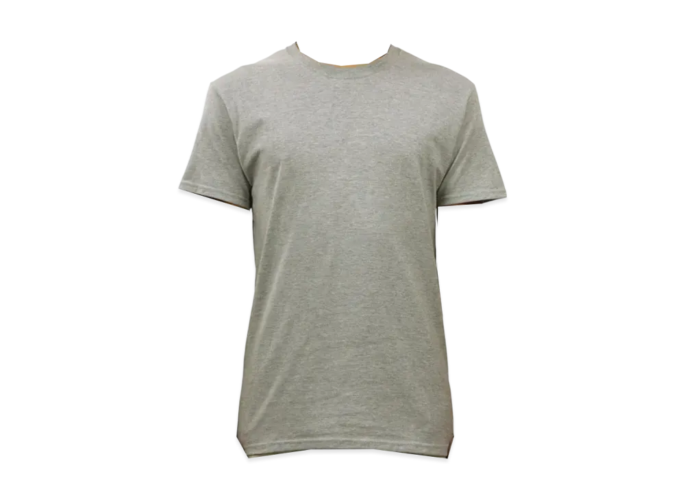 FRUIT OF THE LOOM Crew Tee Platinum "Grey"