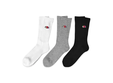 FRUIT OF THE LOOM Logo Embroidered Crew Socks 3Set "Multi"