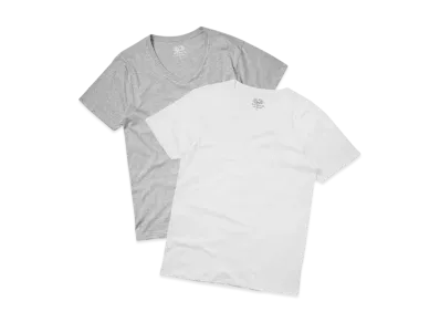 FRUIT OF THE LOOM V-Neck Pack T-Shirt Underwear 2-Pack "Grey/White"