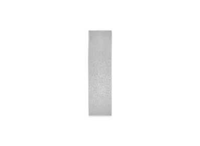 LOEWE Scarf "Light Grey"