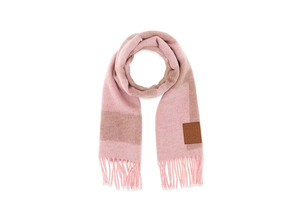 LOEWE Women's Embroidered Cashmere Scarf "Pink"