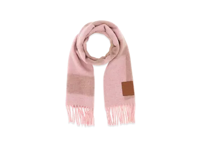 LOEWE Women's Embroidered Cashmere Scarf "Pink"