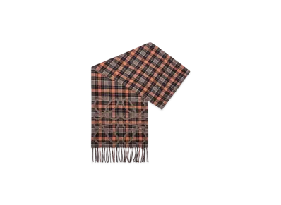 LOEWE Anagram Scarf "Brown/Multicolor"
