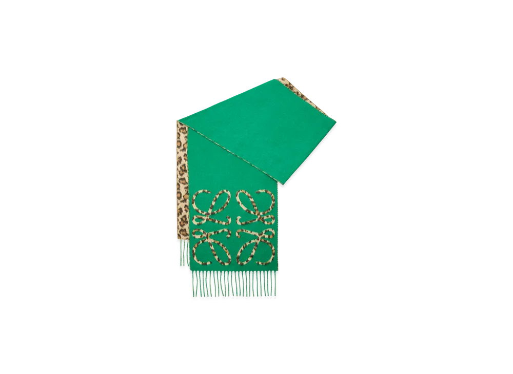 LOEWE Anagram Scarf "Green/Multicolor"