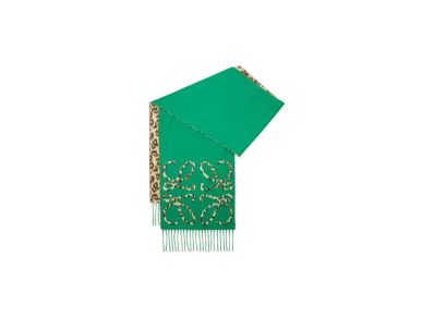 LOEWE Anagram Scarf "Green/Multicolor"