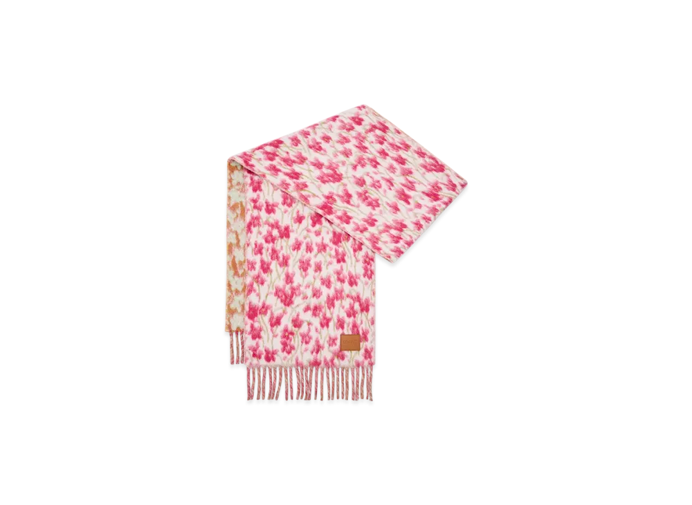 LOEWE Scarf "Pink/Multicolor"