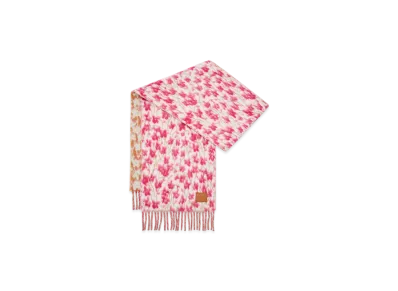 LOEWE Scarf "Pink/Multicolor"