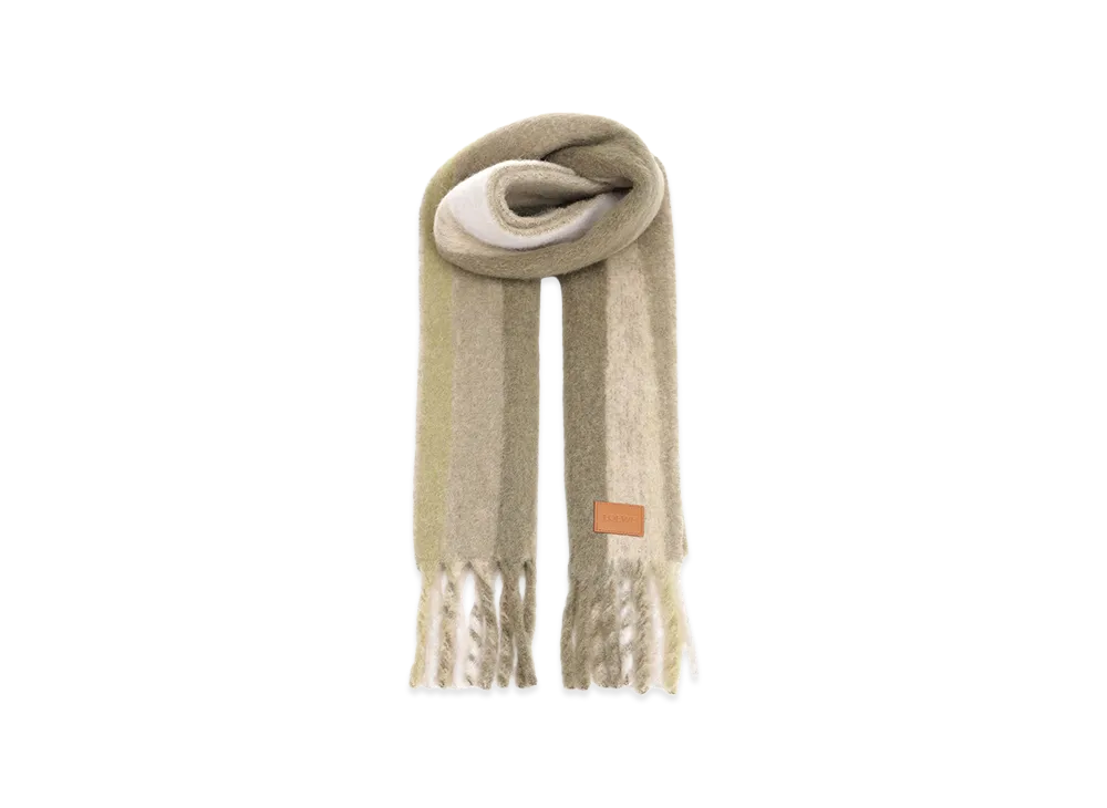 LOEWE Women's Scarf "Brown"