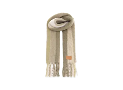 LOEWE Women's Scarf "Brown"