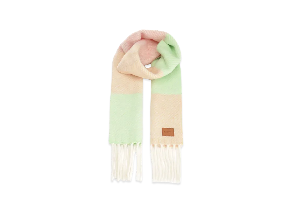 LOEWE Women's Alpaca Blend Scarf "Multicolor"