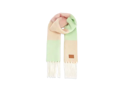 LOEWE Women's Alpaca Blend Scarf "Multicolor"