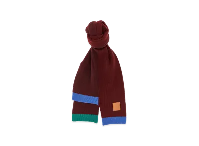 LOEWE Women's Wool Asymmetrical Scarf "Multicolor"