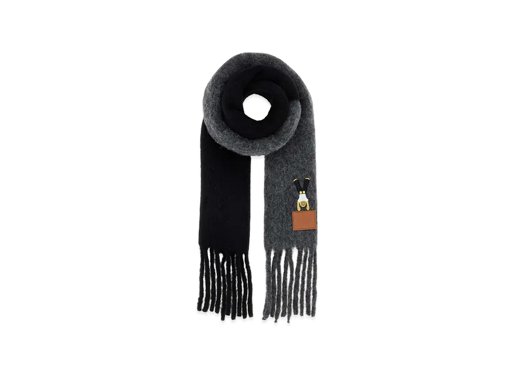 LOEWE Women's Alpaca Blend Scarf "Multicolor"