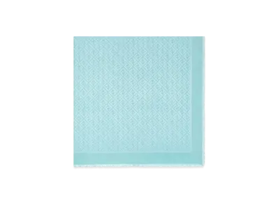 FENDI FF Shawl "Light Blue"