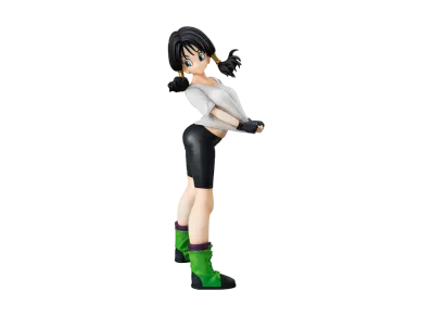 Dragonball Gals: Videl