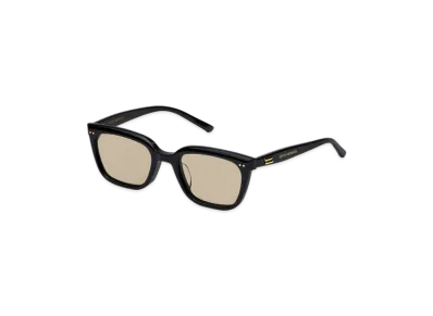 Gentle Monster Breezebe 01(BR) "Black/Brown"