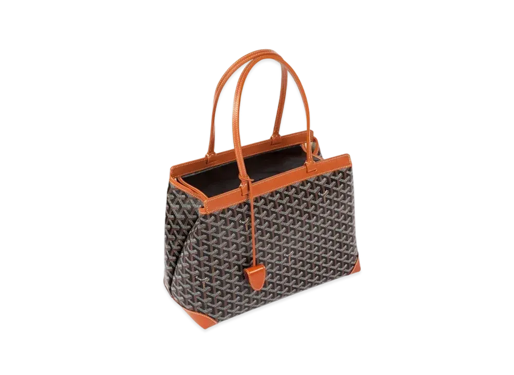 Goyard Bellechasse Biaude PM Bag "Black/Brown"