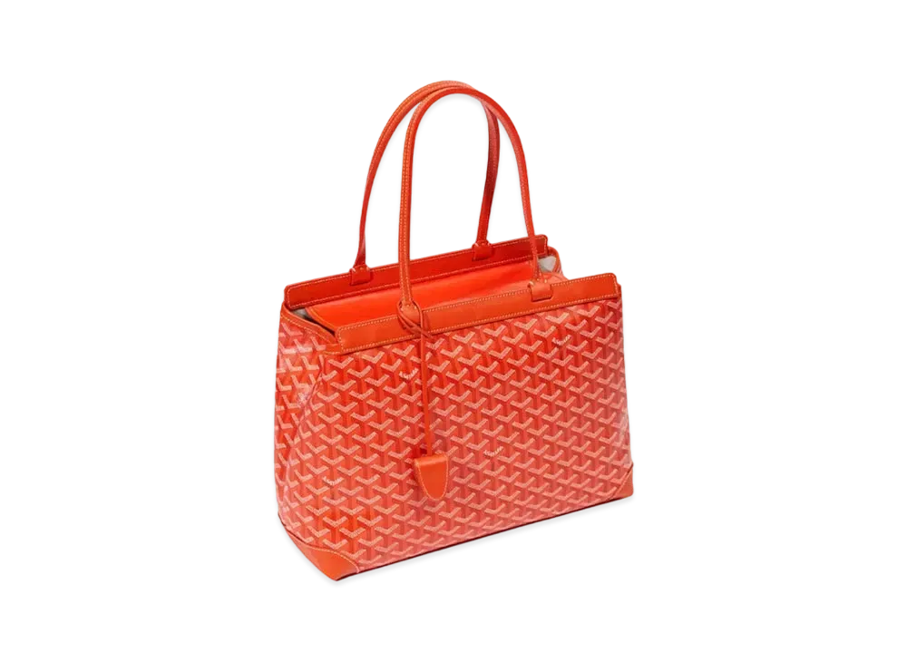 Goyard Bellechasse Biaude PM Bag "Orange"