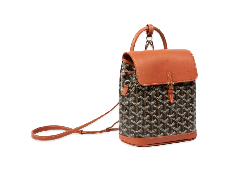 Goyard Alpin Mini Backpack "Black/Brown"