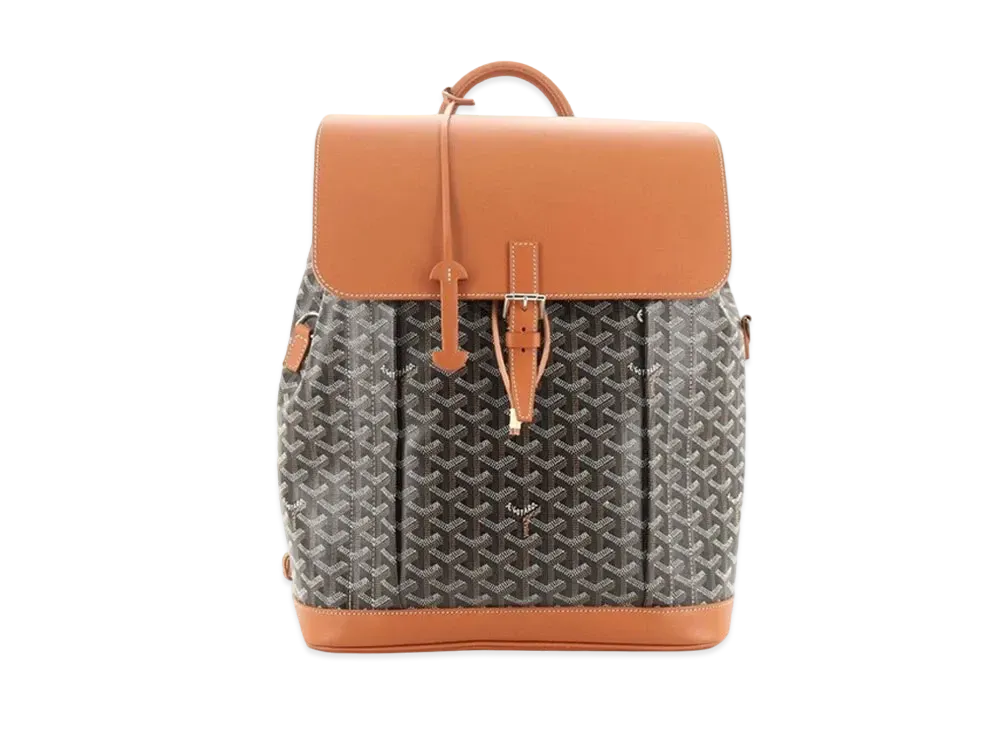Goyard Alpin MM Backpack "Black/Brown"