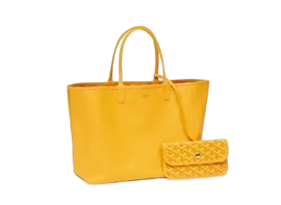 Goyard Anjou PM Bag "Yellow"