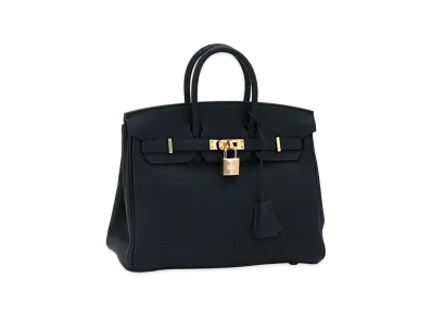Hermes Women's Birkin 25cm Togo Handbag "Caban"