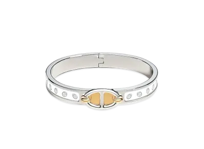 Hermes Mini Clic Chaine D'ancre Maillon Bracelet "Blanc Platine/Palladium"