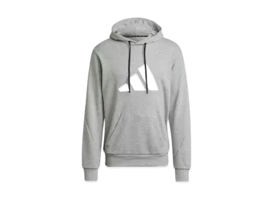 adidas Sportswear Future Icon Logo Graphic Hoodie "Gray"