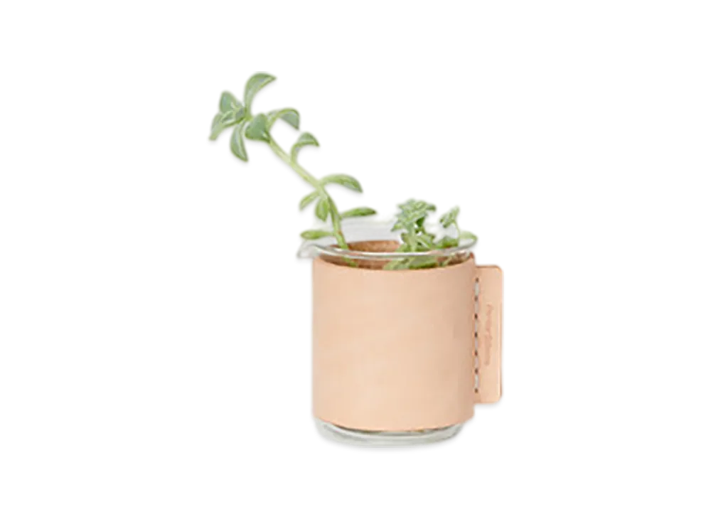 Hender Scheme Beaker/100ml "Natural"