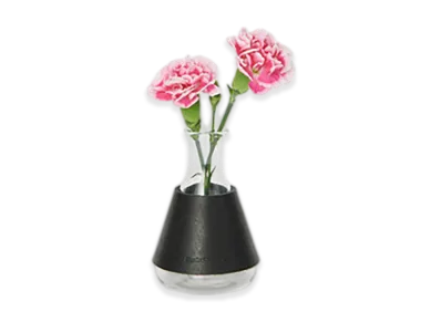 Hender Scheme Erlenmeyer Flask/100ml "Black"