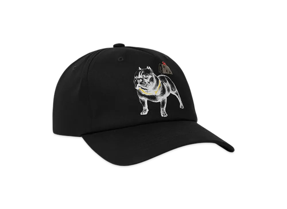 HUF 4 The Dawgs Snapback "Black"