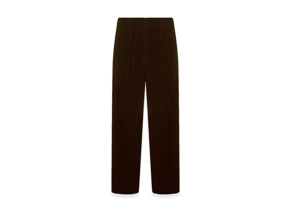 HOMME PLISSE ISSEY MIYAKE Monthly Colors January Pants "Brown"