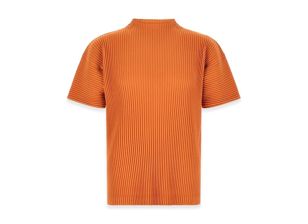 オムプリッセイッセイミヤケ アゲートTシャツ 