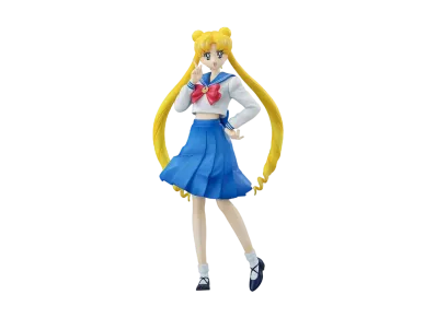 World Uniform Operation: Sailor Moon Usagi Tsukino