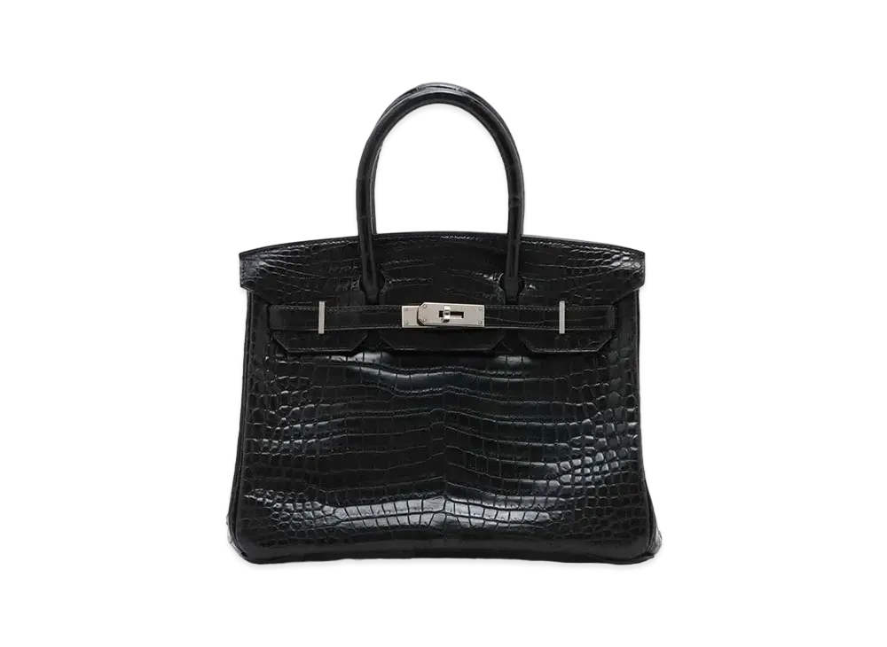 Hermes Birkin Porosus "Noir/Silver"