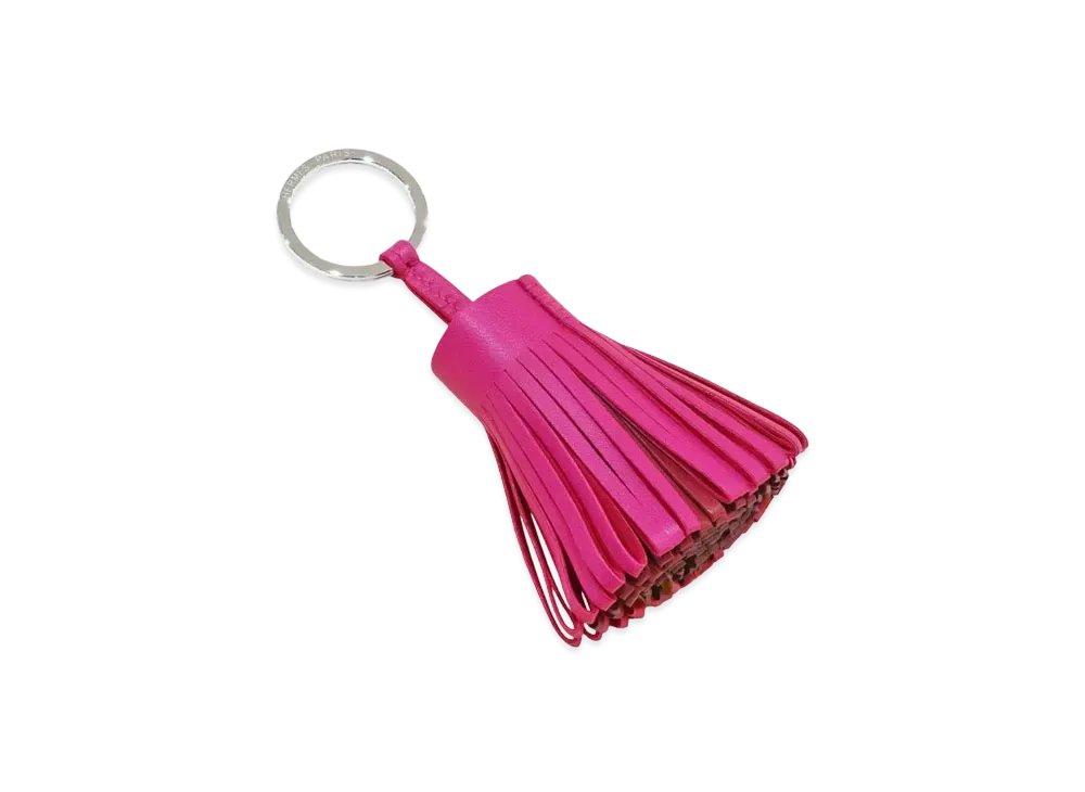 Hermes Carmen Agnomilo "Rose Purple/Rouge Grena/Rouge/Silver"