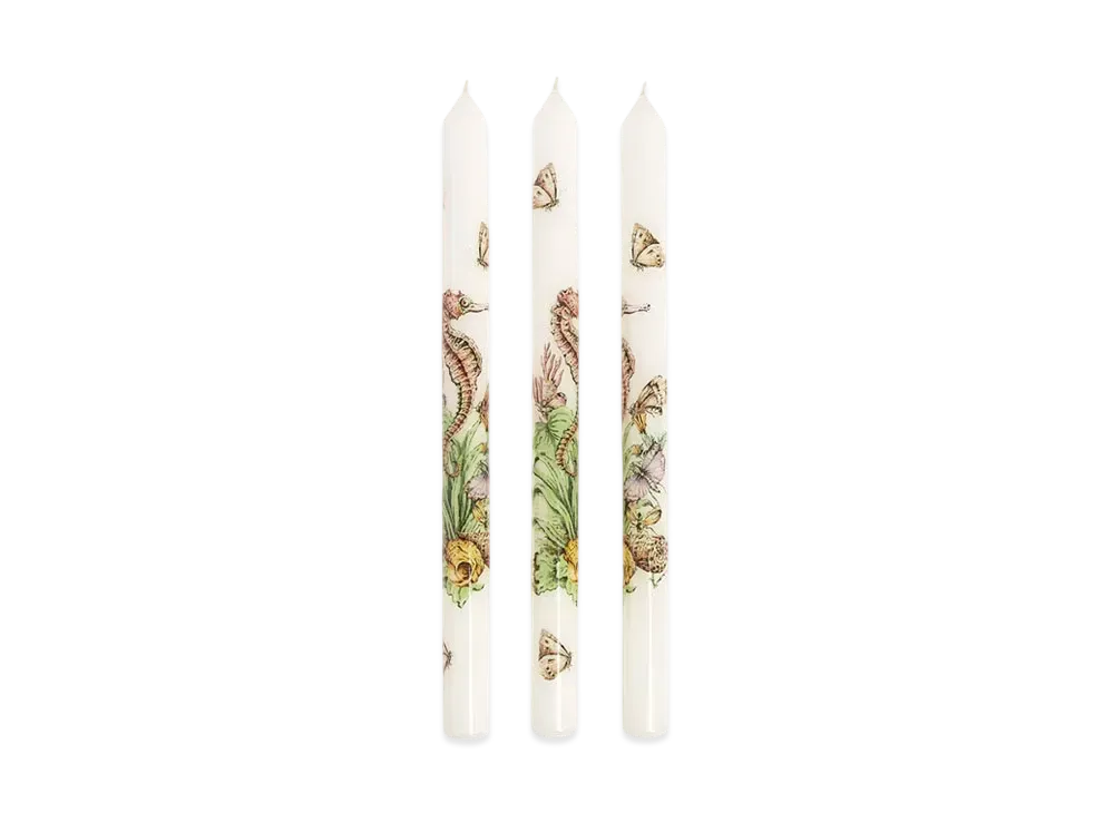 Dior Set of Three Tapered Candles Wax with Dior Cabinet de la Mer Motif "White/Multicolor"
