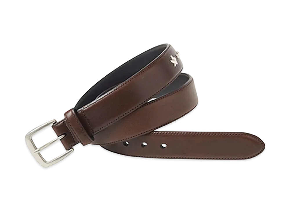 HYSTERIC GLAMOUR Simple Studs Belt "Dark Brown"