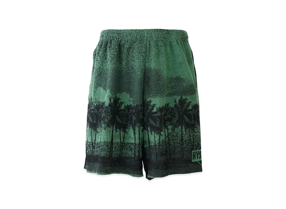 HYSTERIC GLAMOUR Thrills And Delights Jacquard Shorts "Green"