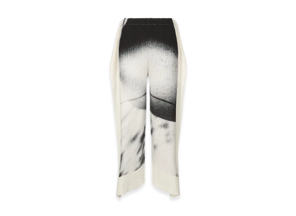 ISSEY MIYAKE Shadow Study Pleats "Shadow"