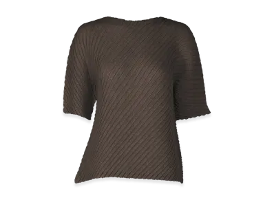 ISSEY MIYAKE Sheer Linen Like Pleats "NasuBrown"