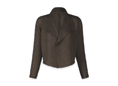 ISSEY MIYAKE Sheer Linen Like Pleats "NasuBrown"