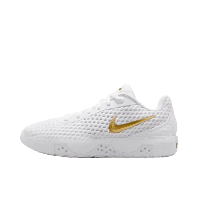 Nike LeBron Witness X EP "White/Photon Dust" (IQ9845-100)