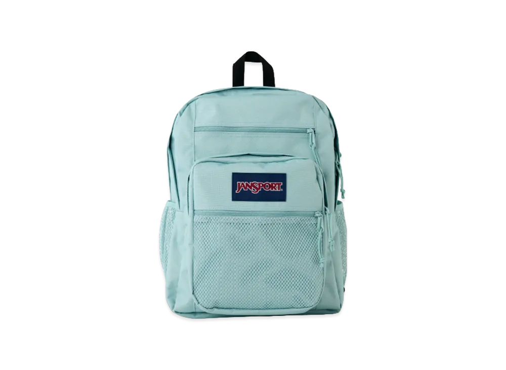 JanSport Big Campus "Faded Sage"