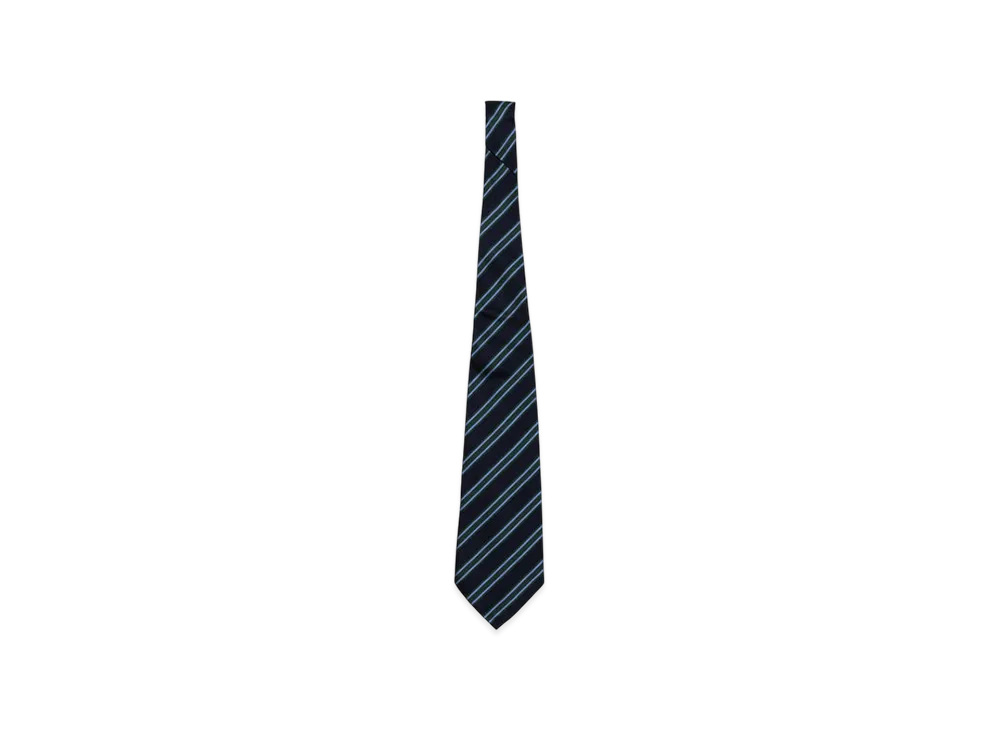 JUNYA WATANABE MAN Silk Stripe "Navy/Green"