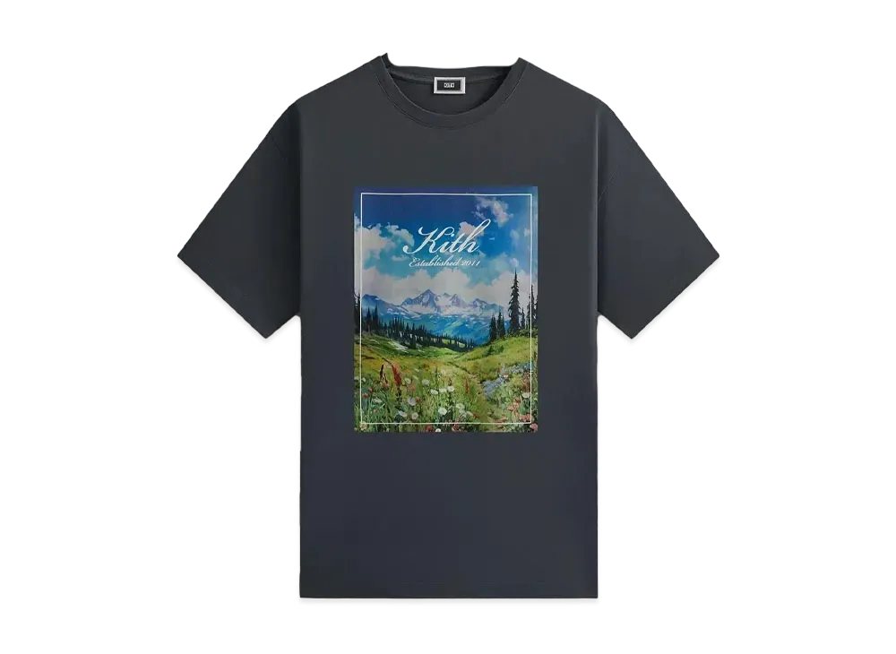 Kith Landscape Vintage Tee "Torpedo"