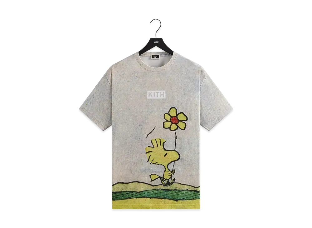 Kith x Peanuts Woodstock Comic Vintage Tee "Chalk"