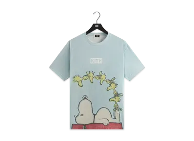 Kith x Peanuts Woodstock Doghouse Comic Vintage Tee "Glisten"