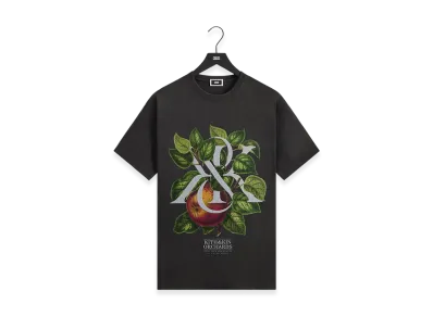 Kith x &Kin Orchards Vintage Tee "Black"