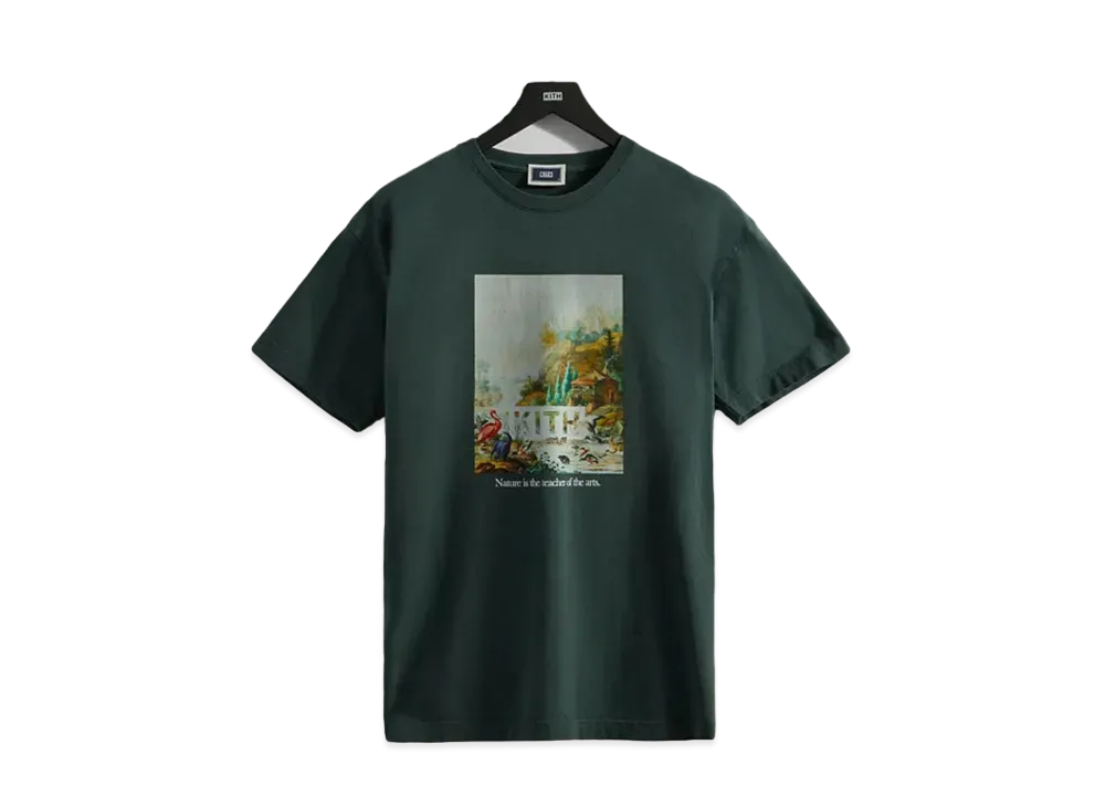 Kith Art Of Nature Vintage Tee 